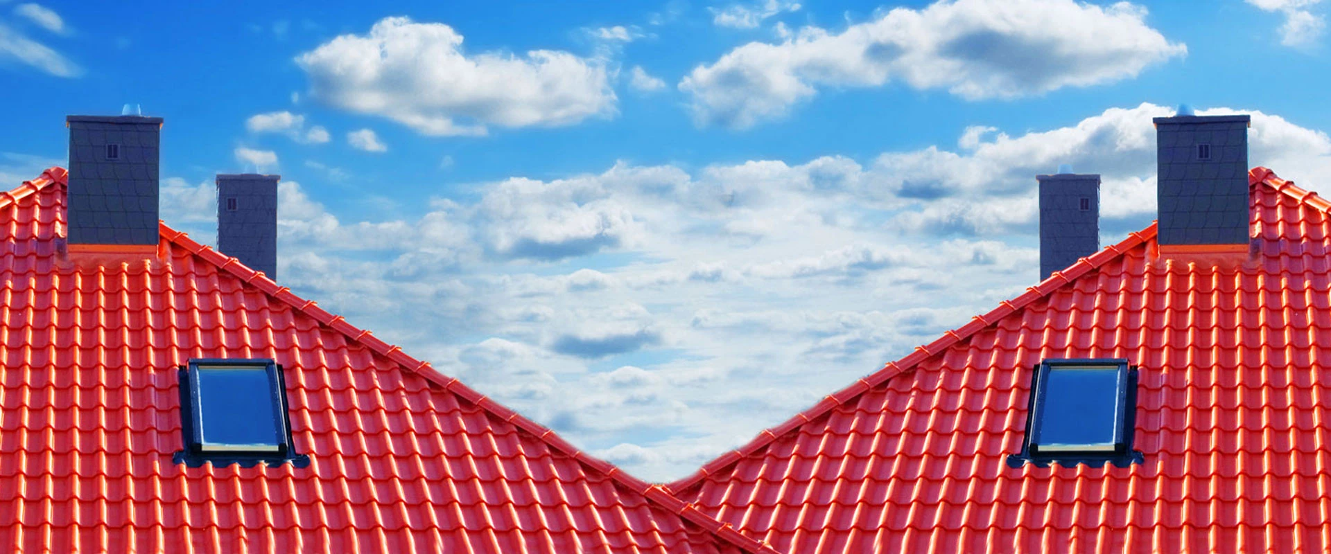 DACH+HOLZ International