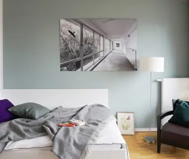 THE FLAG Campusmeile