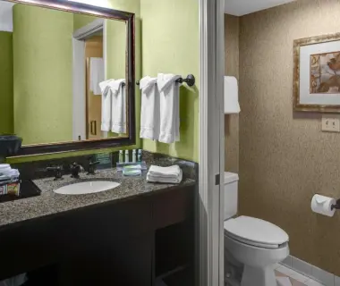Holiday Inn Express Suites Atlanta Buckhead