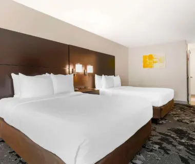 Comfort Inn & Suites Near Universal Orlando Resort-Convention Ctr