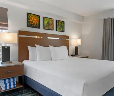 Desert Rose Resort
