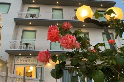 Hotel Laika